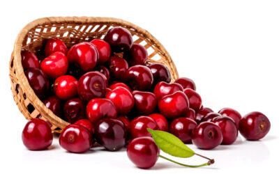 Protected: Cherries are available for order from Kopke