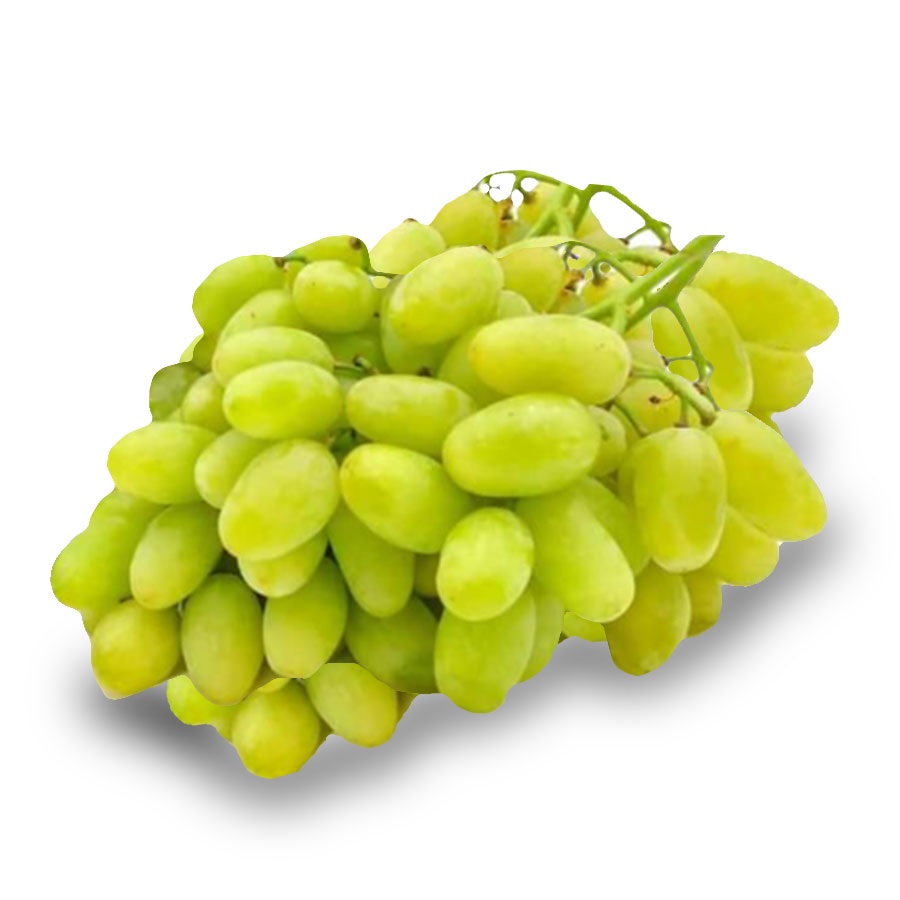 sugar-drop-prod-kopke-sweetums-fruit